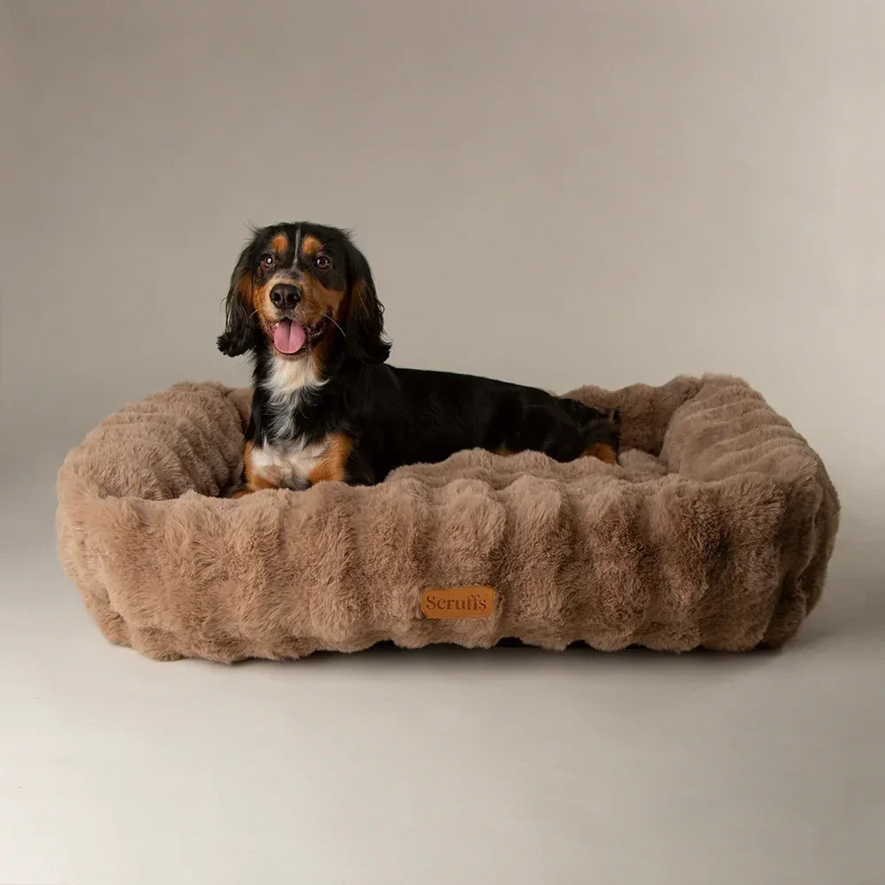 Small spaniel sitting in a taupe Scruffs Alpine bolster dog bed with faux fur