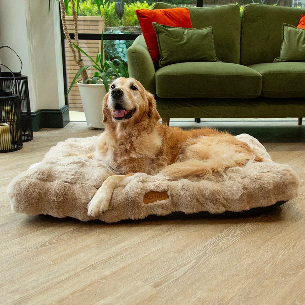 Golden Retriever on Champagne Scruffs Alpine dog mattress