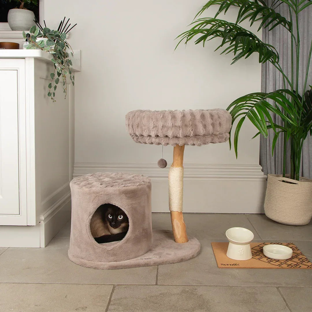 Scruffs Alpine Himalayas cat tree in taupe placed in a living room beside a cabinet and plant