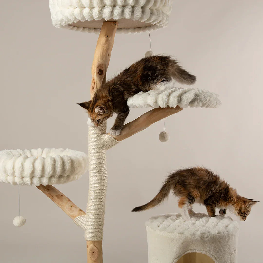 Scruffs Alpine Pyrenees Cat Tree close-up showing plush sleeping beds, natural wood posts, and sisal scratching area