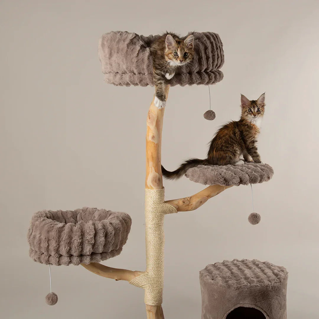 Scruffs Alpine Pyrenees Cat Tree in Taupe close-up showing raised beds, climbing platforms, and natural wood frame