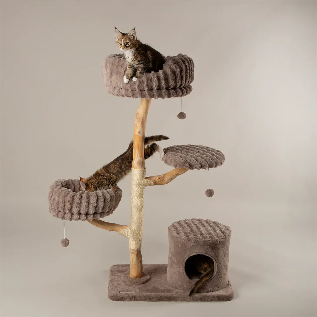 Scruffs Alpine Pyrenees Cat Tree in Taupe with raised beds, climbing platforms, sisal scratching post, and cave hideaway