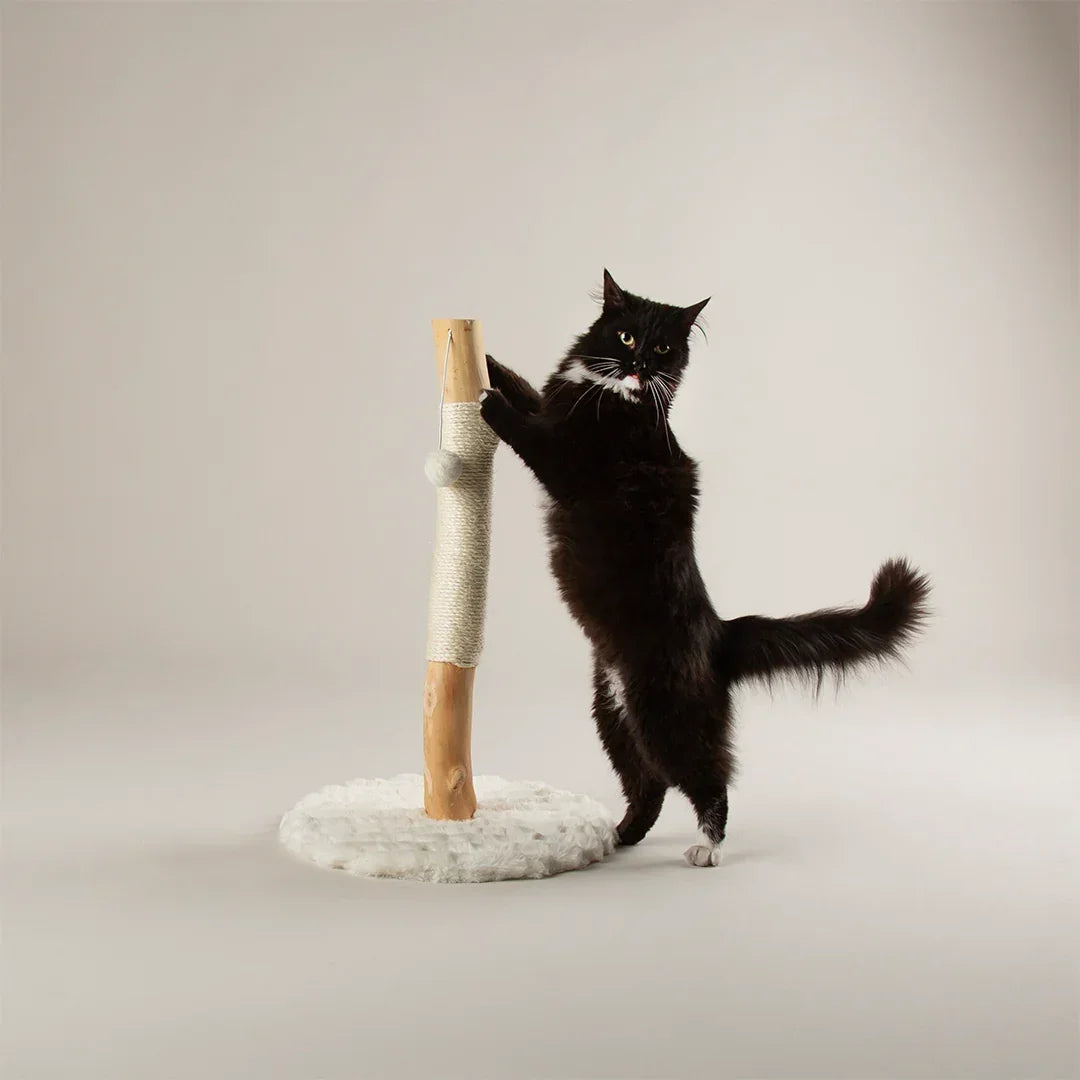 Black cat stretching on Scruffs Alpine Rockies cat scratching post in cream