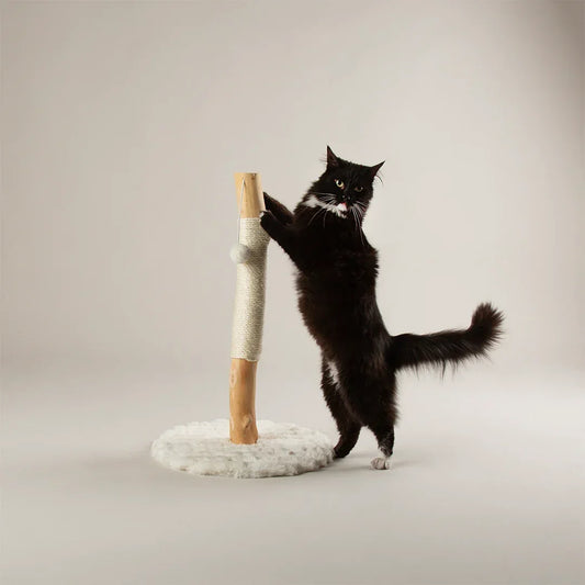 Black cat stretching on Scruffs Alpine Rockies cat scratching post in cream