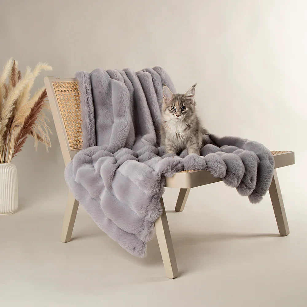 Cat relaxing on a grey pet blanket draped over a chair