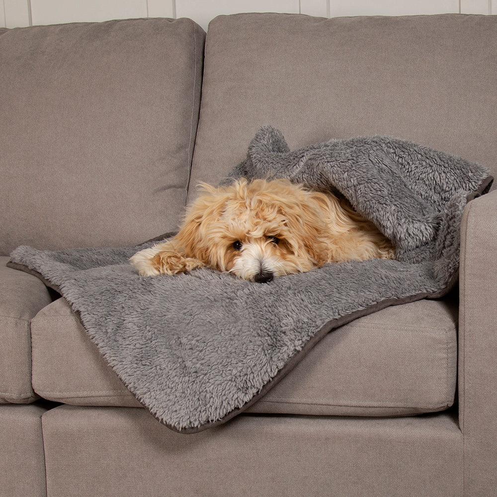 Dog resting under a soft dog blanket on a sofa