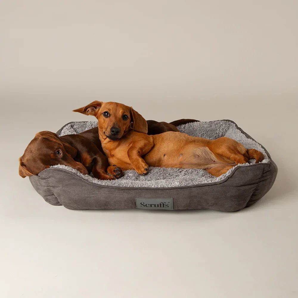 Two dogs resting together on a grey Scruffs cosy soft-walled dog bed