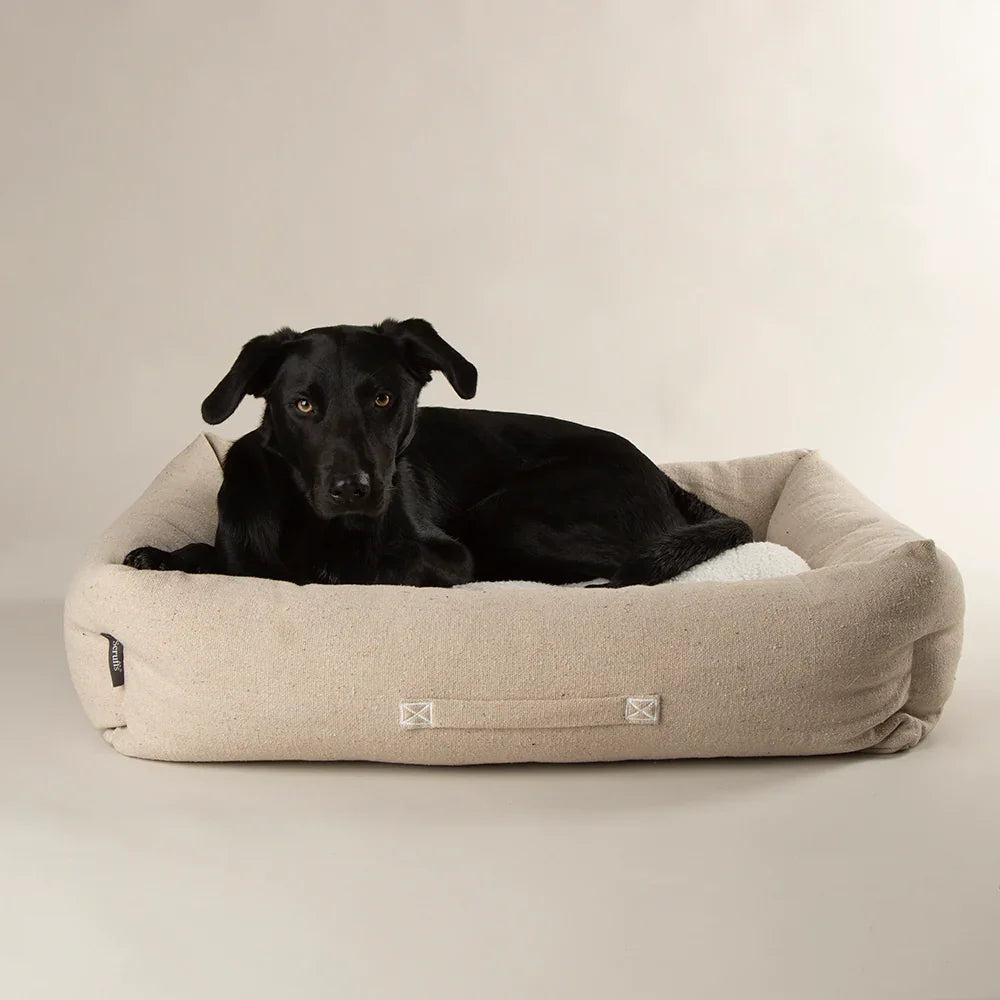 Black dog resting in Scruffs Eden box dog bed cream with raised bolster walls