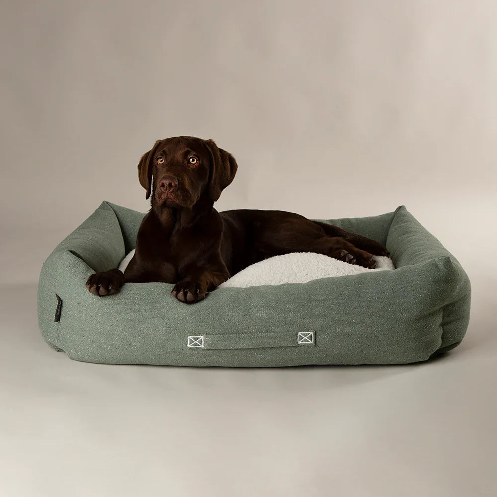 Dog lying in Scruffs Eden box dog bed sage green with supportive bolster sides