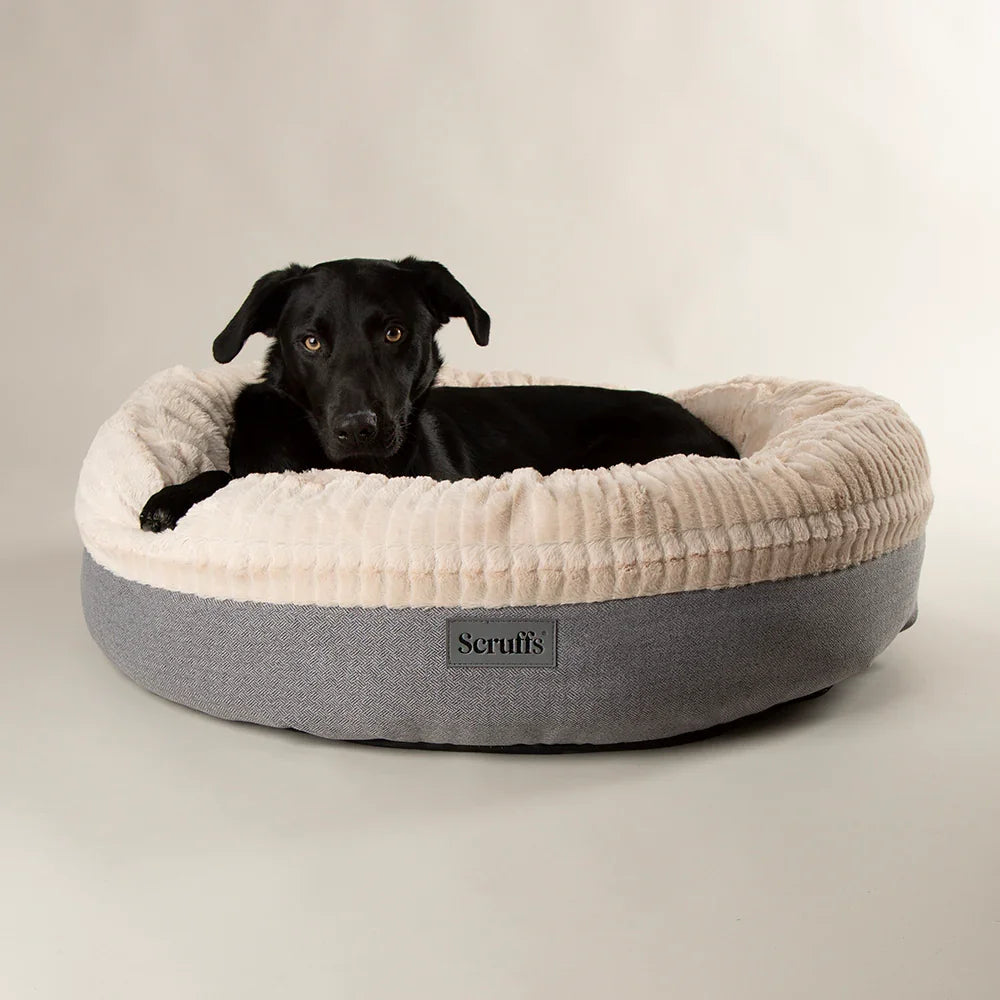 Black dog lying in the light grey Scruffs Ellen donut bed on a plain background.