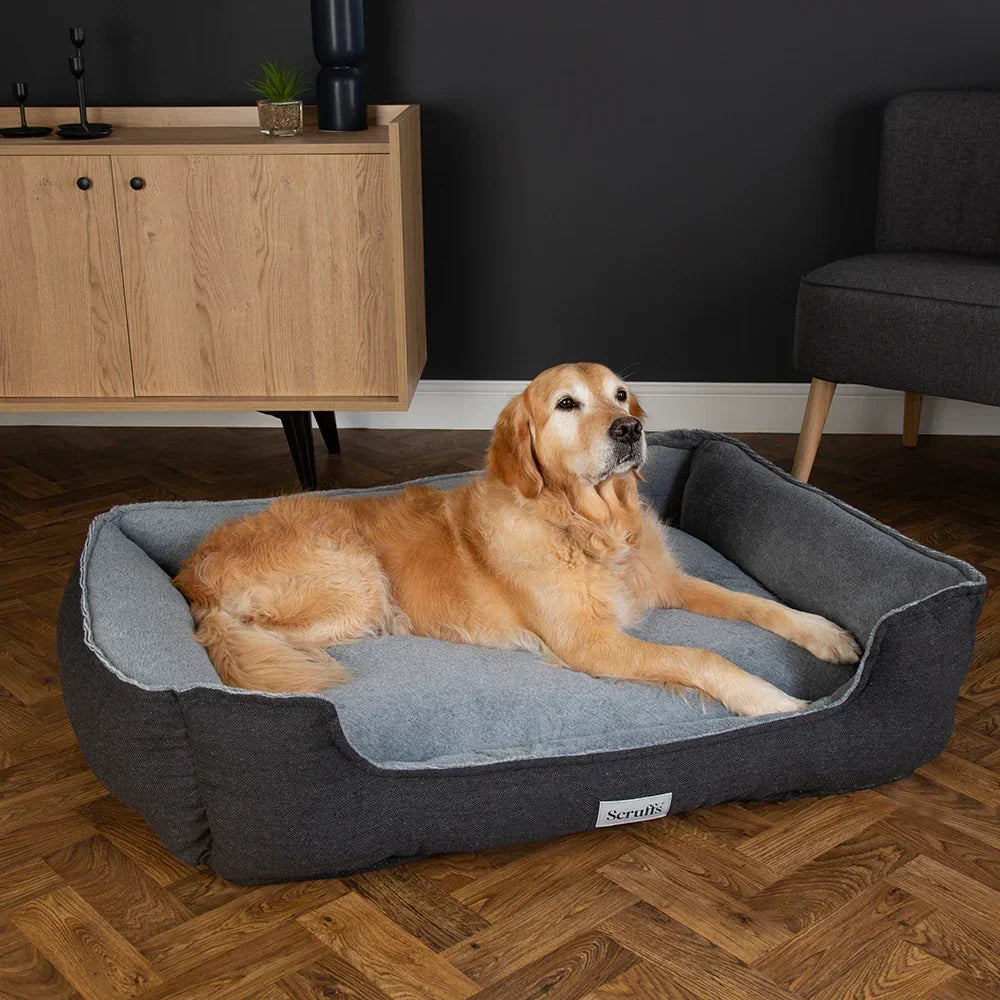 Dog lying on a graphite grey Scruffs Harvard memory foam dog bed on wooden flooring