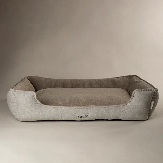 Scruffs Harvard pearl grey memory foam dog bed with raised sides on a neutral background
