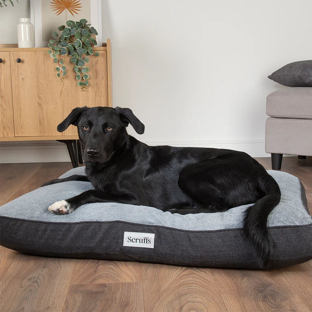 Large dog relaxing on graphite Scruffs Harvard memory foam dog mattress on wooden floor