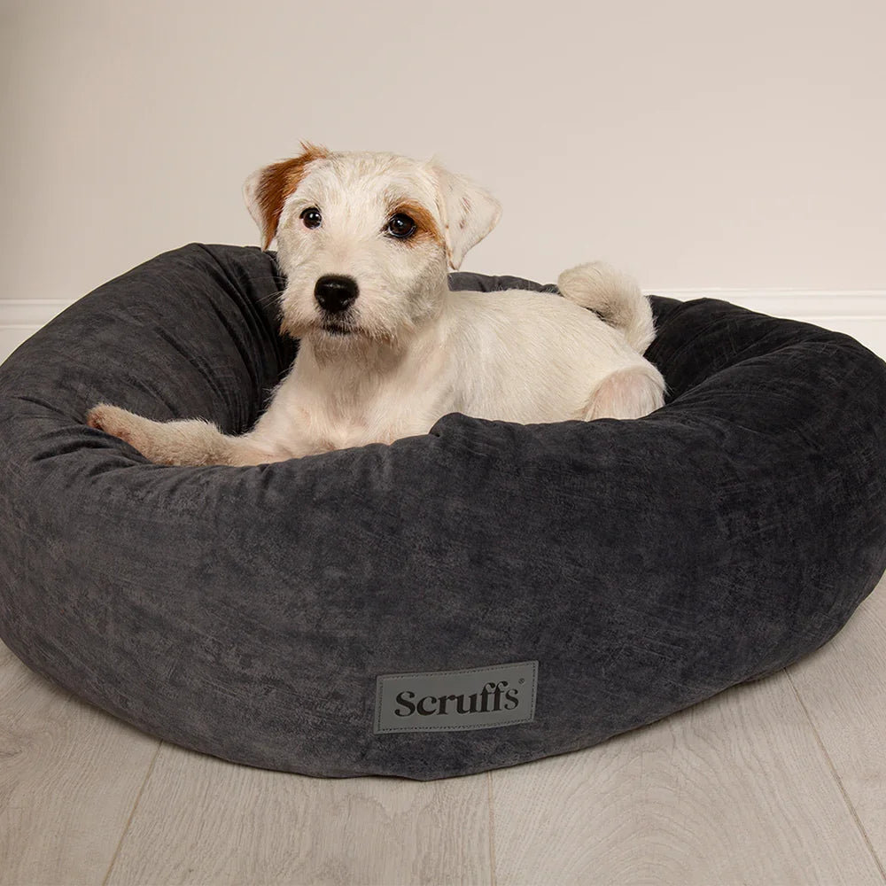 Dog resting in Scruffs Oslo donut dog bed in stone grey