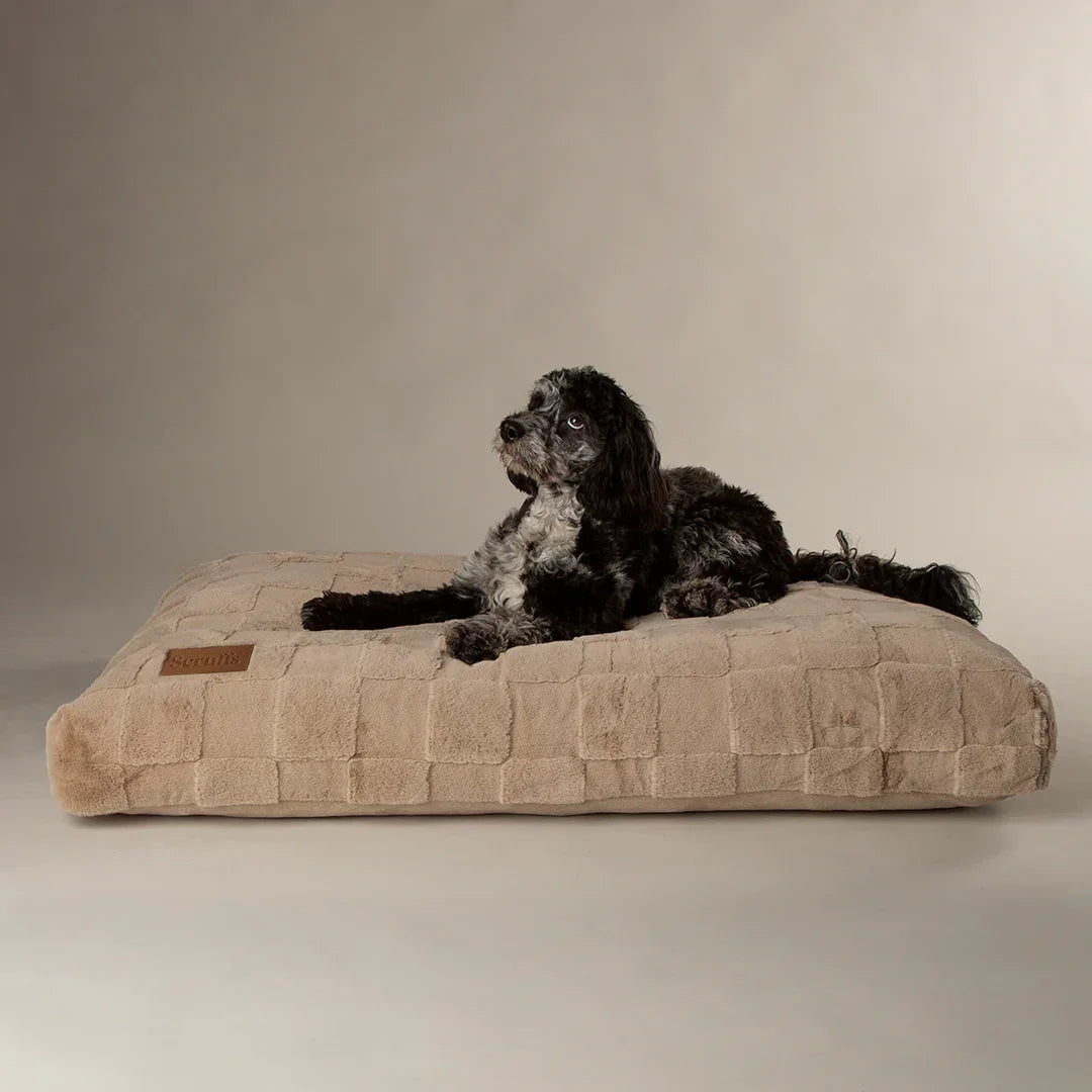 Dog lying in a relaxed position on a camel Scruffs Oxford memory foam mattress