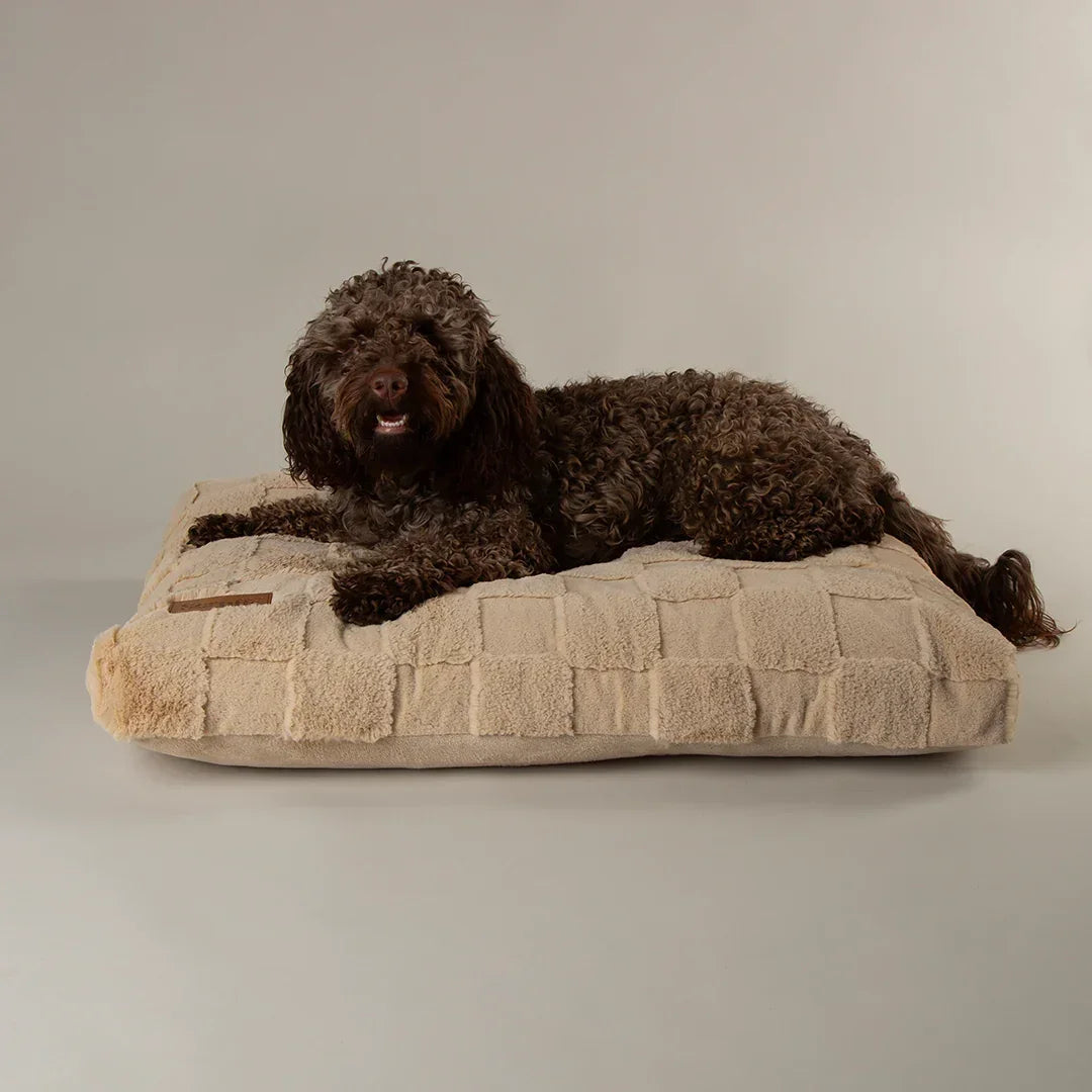 Dog resting comfortably on a tan Scruffs Oxford memory foam dog mattress for joint support